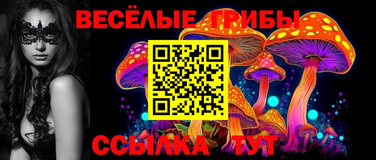Галлюциногенные грибы Magic Shrooms  Галлюциногенные грибы MAGIC MUSHROOMS  Прохладный  Вход с VPN 