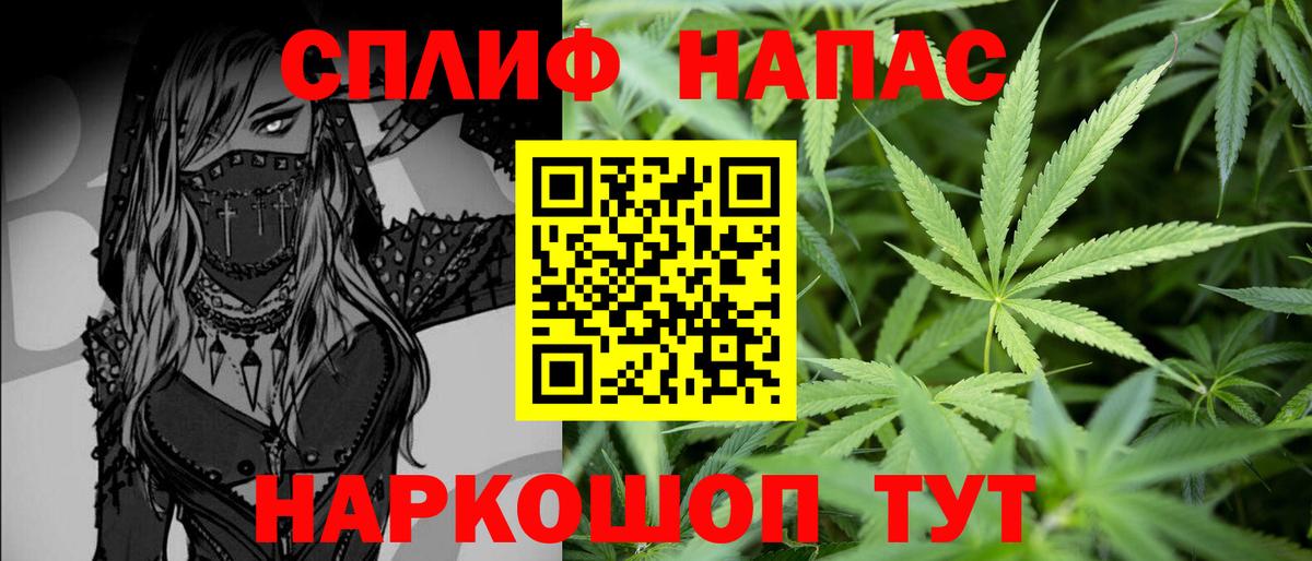 Канабис план  Бошки Шишки VHQ  Вход с VPN  Прохладный  Шишки марихуана сатива 